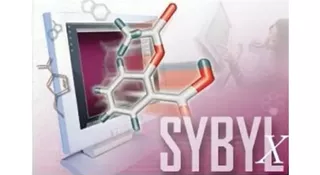 Sybyl